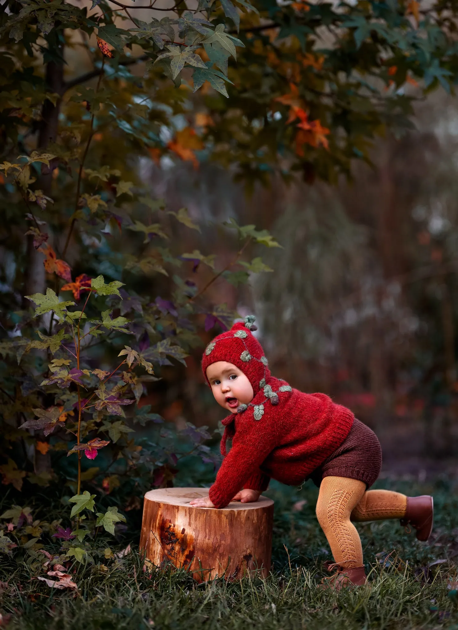Acorns cardigan | Red-orange