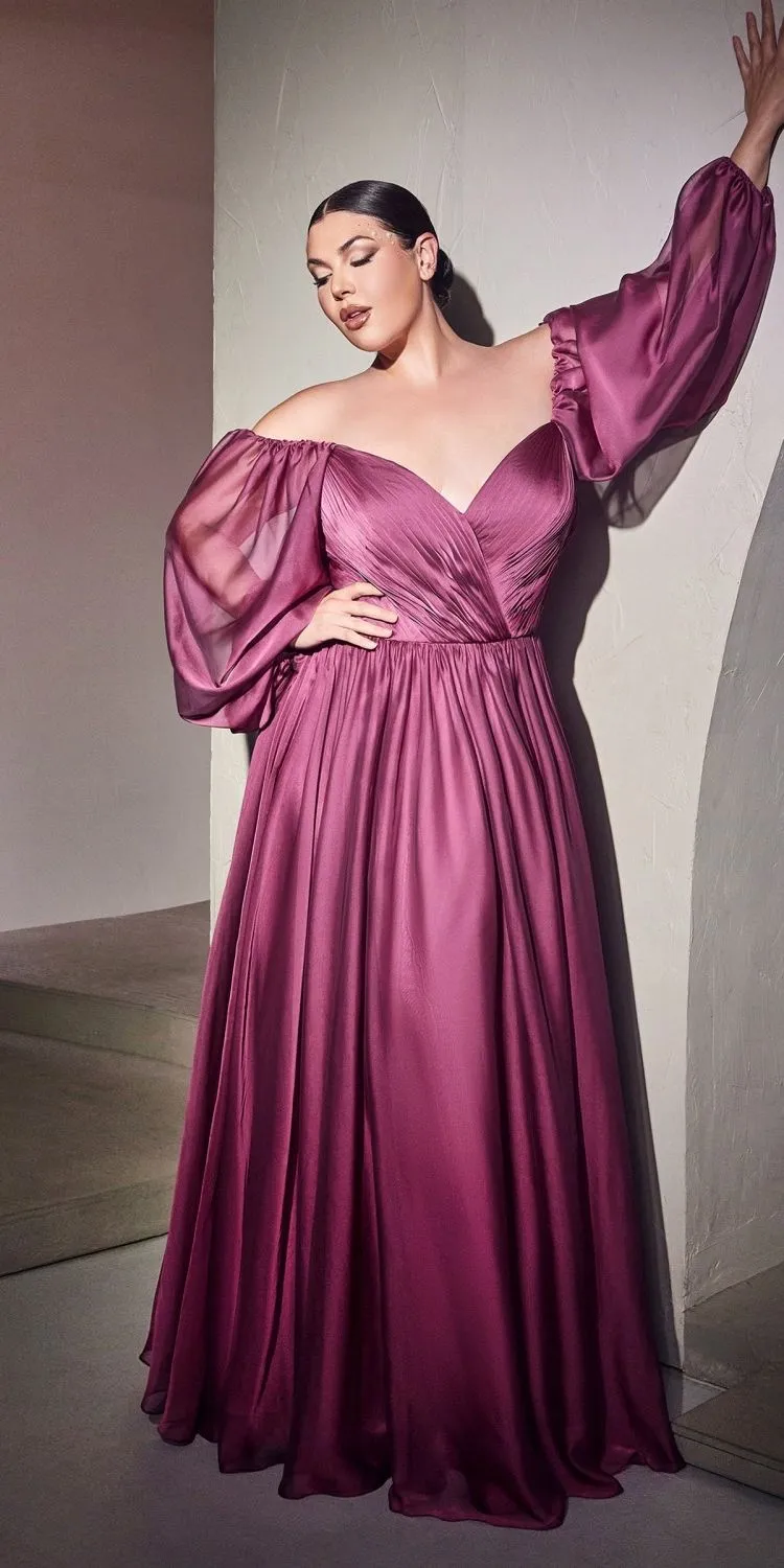 Cinderella Divine CD243C Long Sleeve A-Line Chiffon Dress