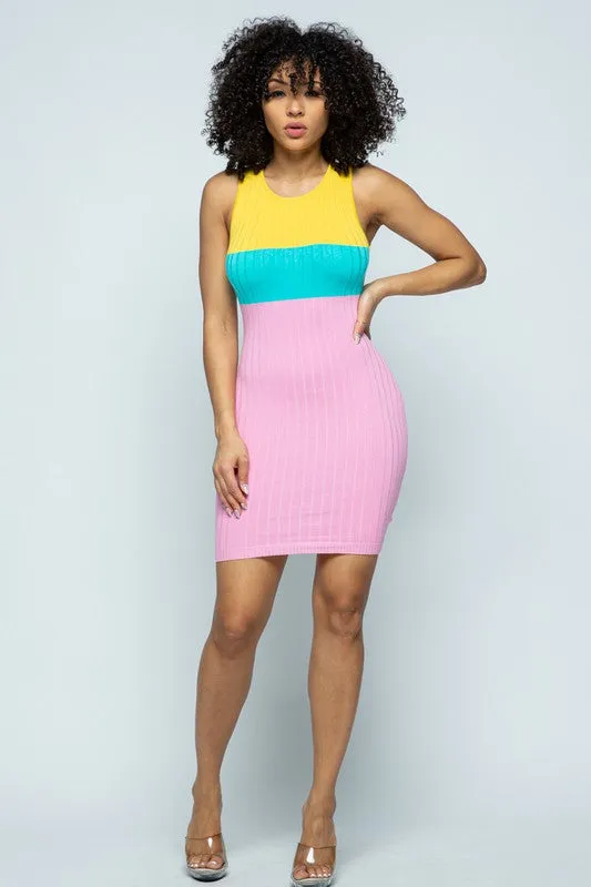 Danielle Lee Color Block Dress