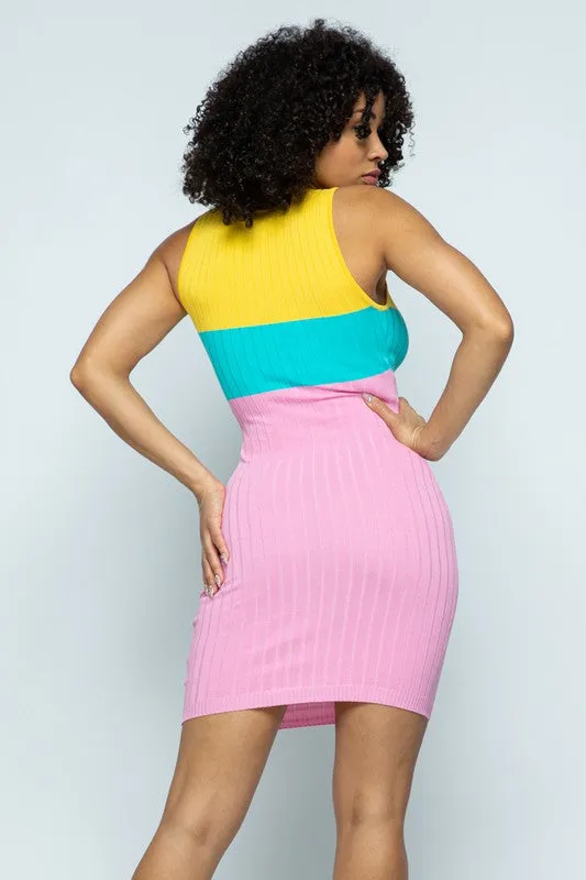 Danielle Lee Color Block Dress