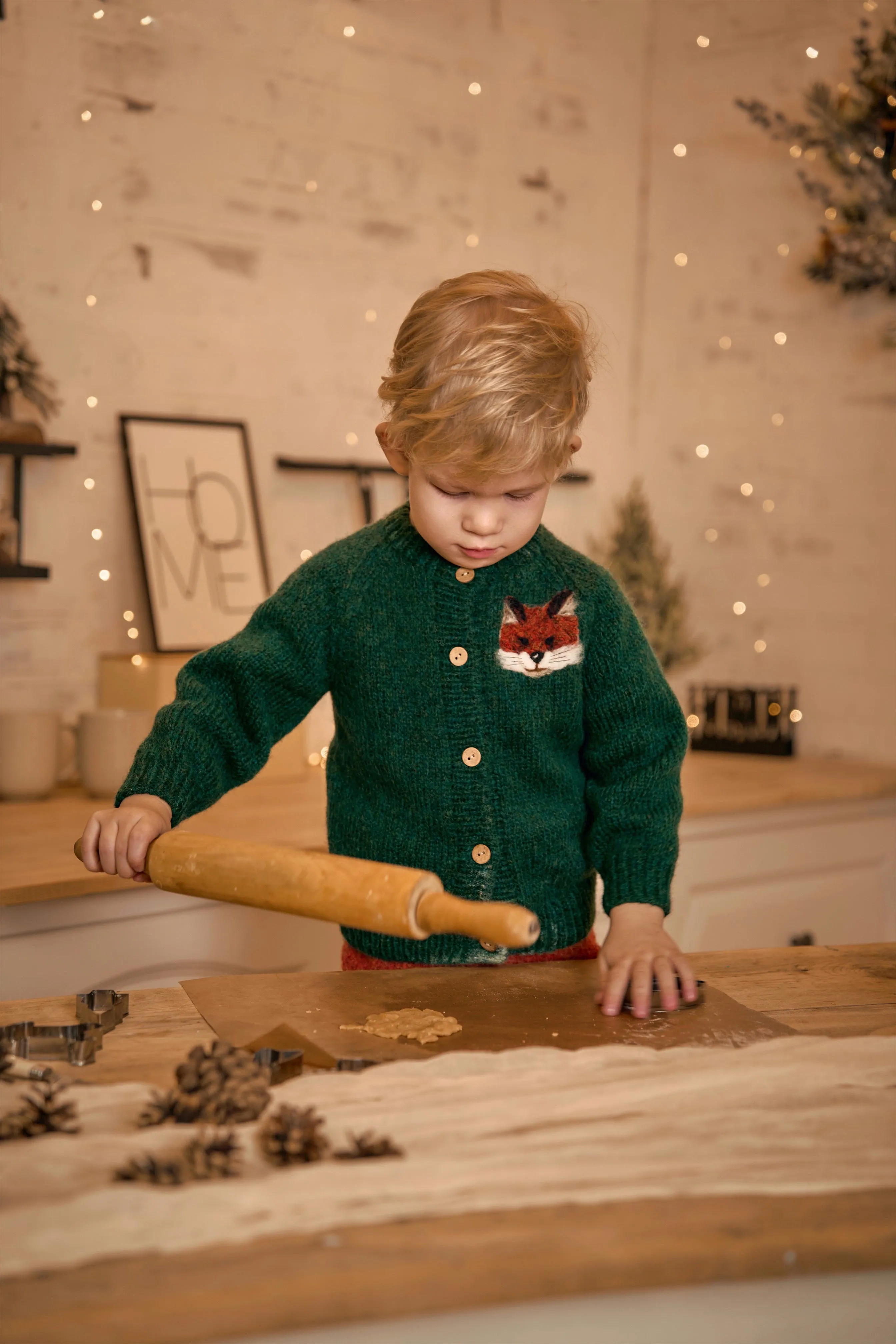 Fox cardigan | Emerald