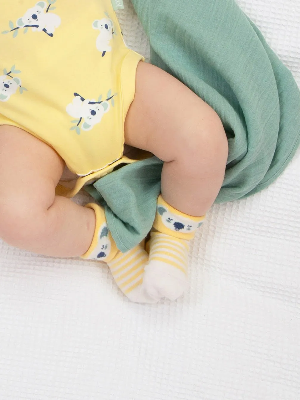Kite 2 Pack Baby Socks Koala Time 3654