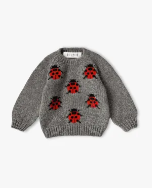 Ladybug Jumper | Dark Grey