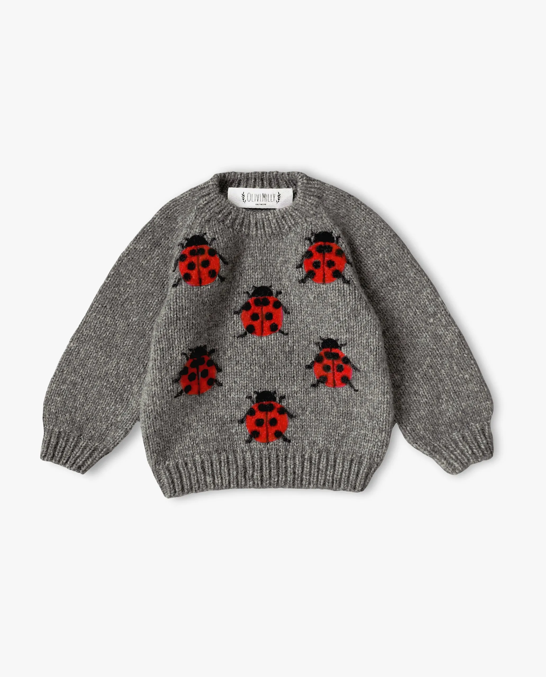 Ladybug Jumper | Dark Grey