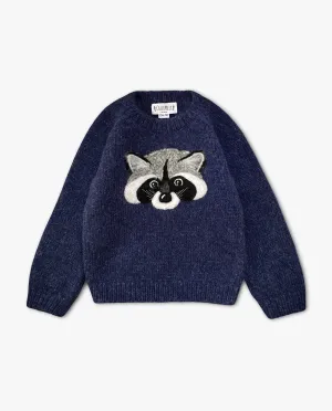 Raccoon jumper | Dark blue