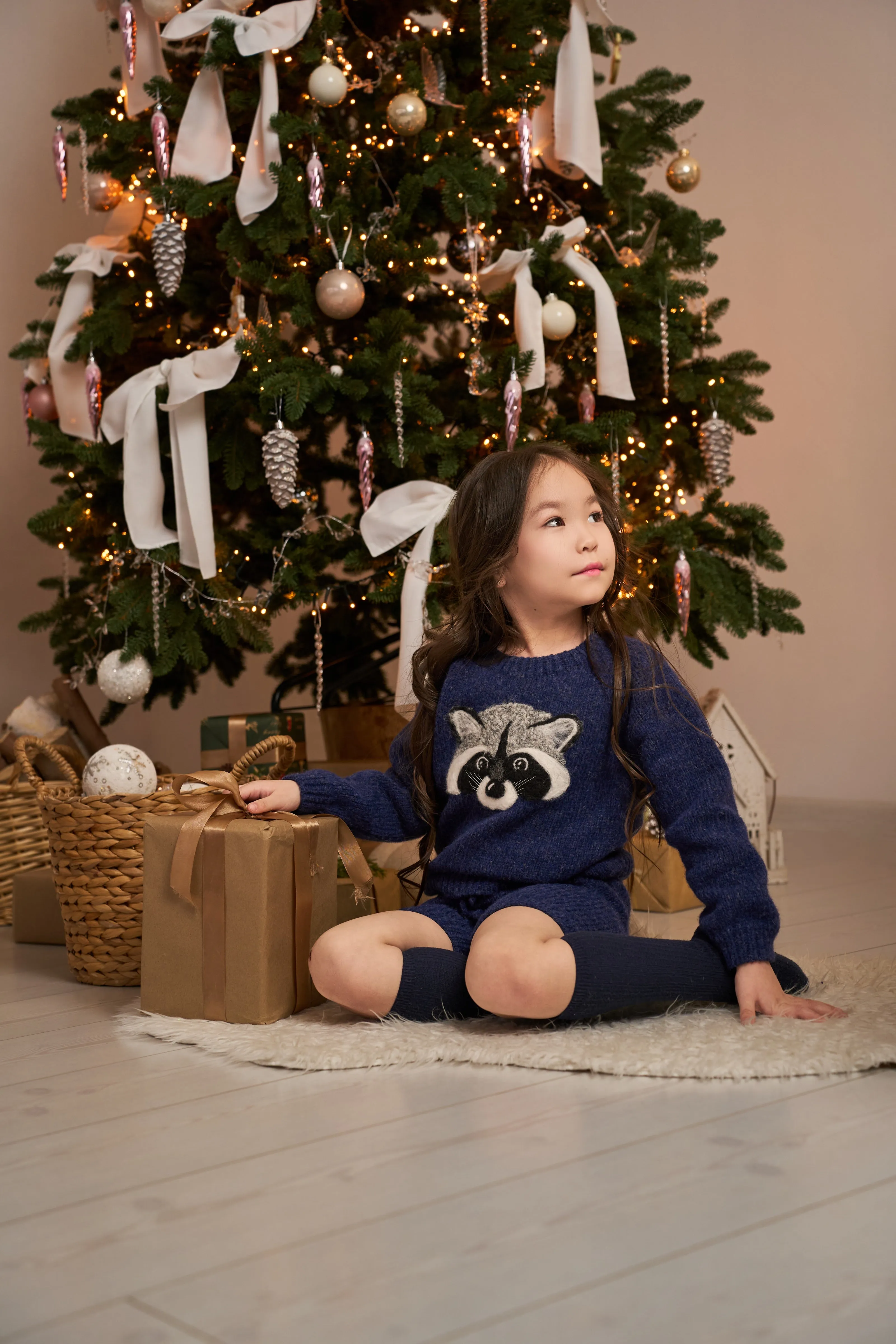 Raccoon jumper | Dark blue