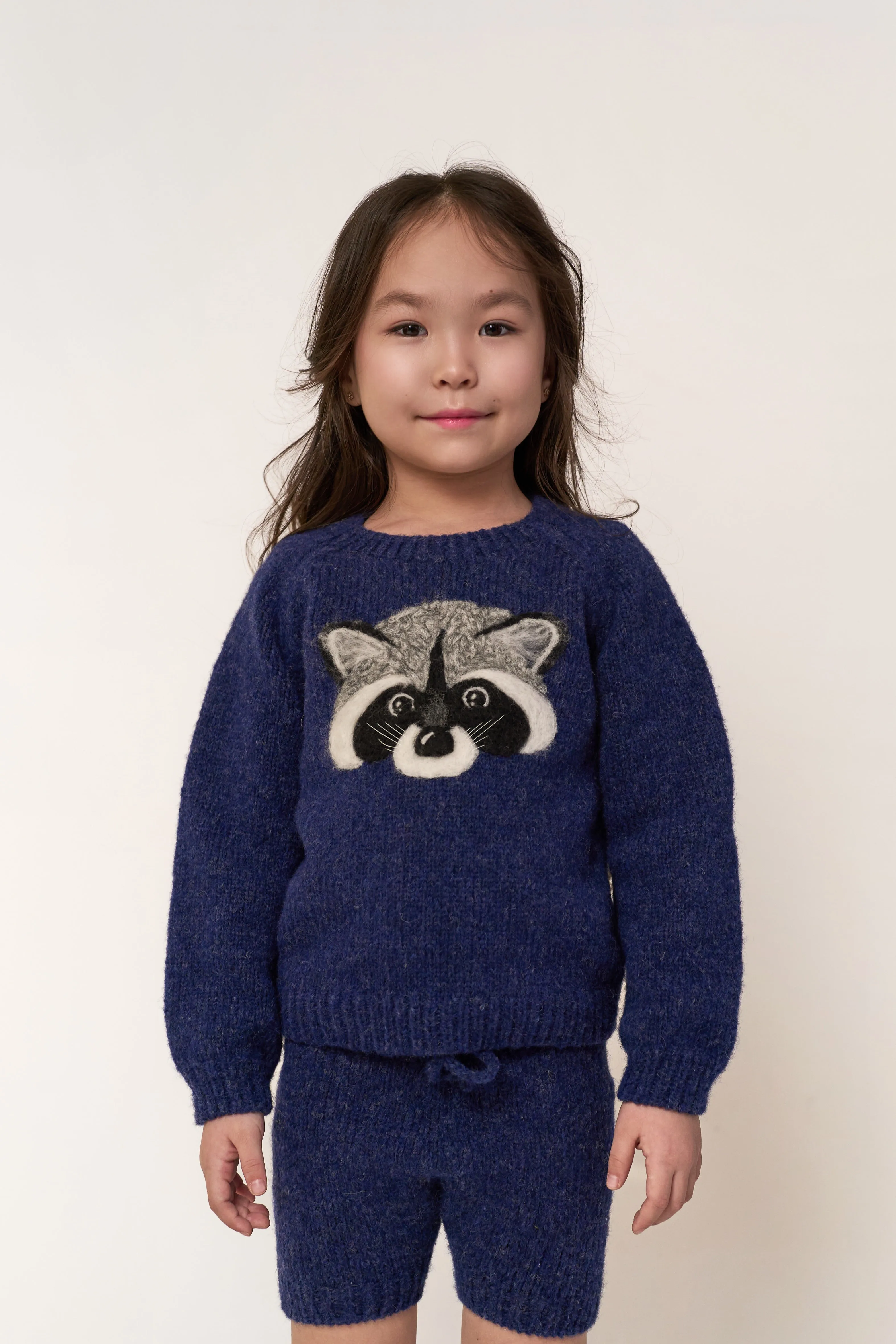 Raccoon jumper | Dark blue