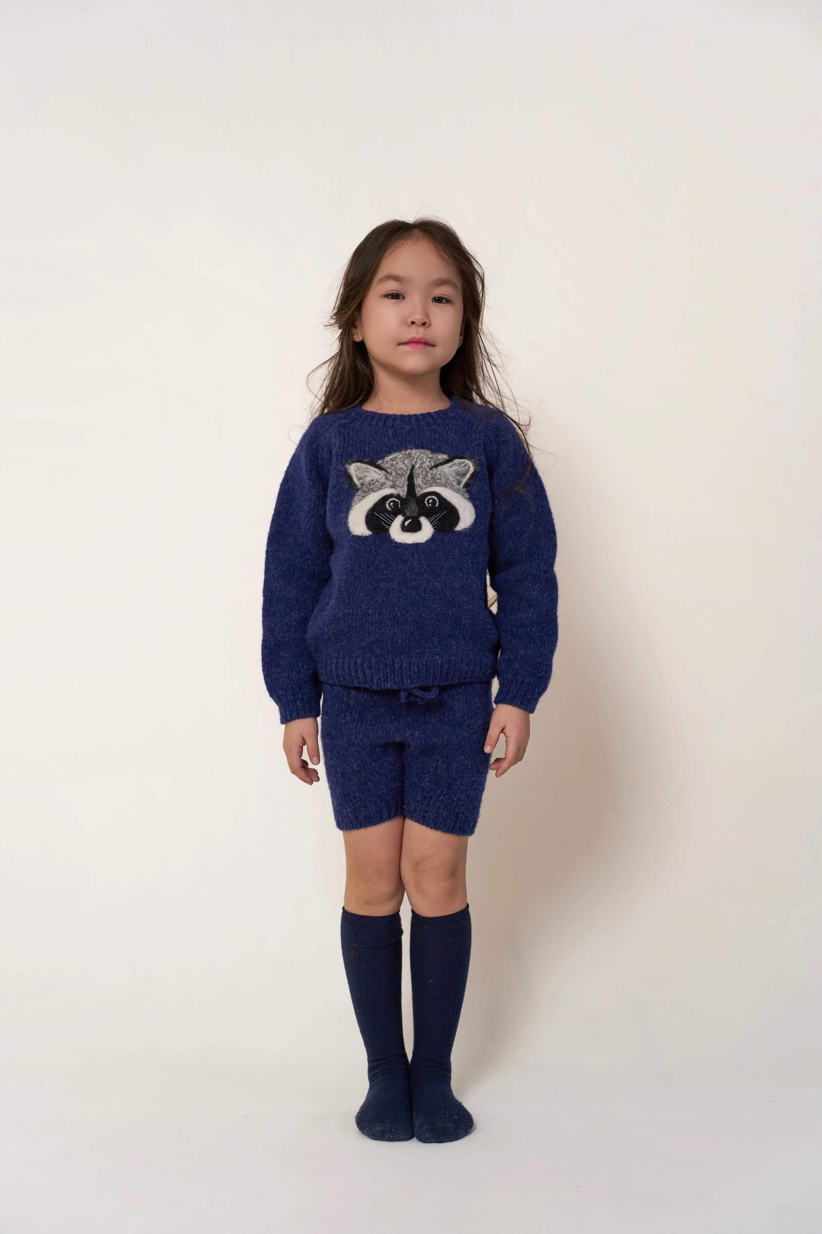 Raccoon jumper | Dark blue