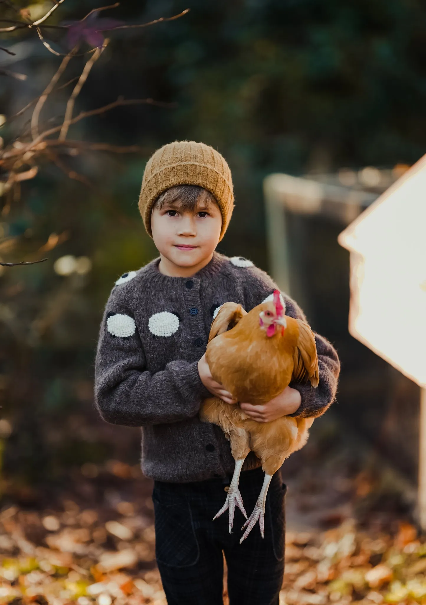 Sheeps cardigan |brown| in stock (12-18m)
