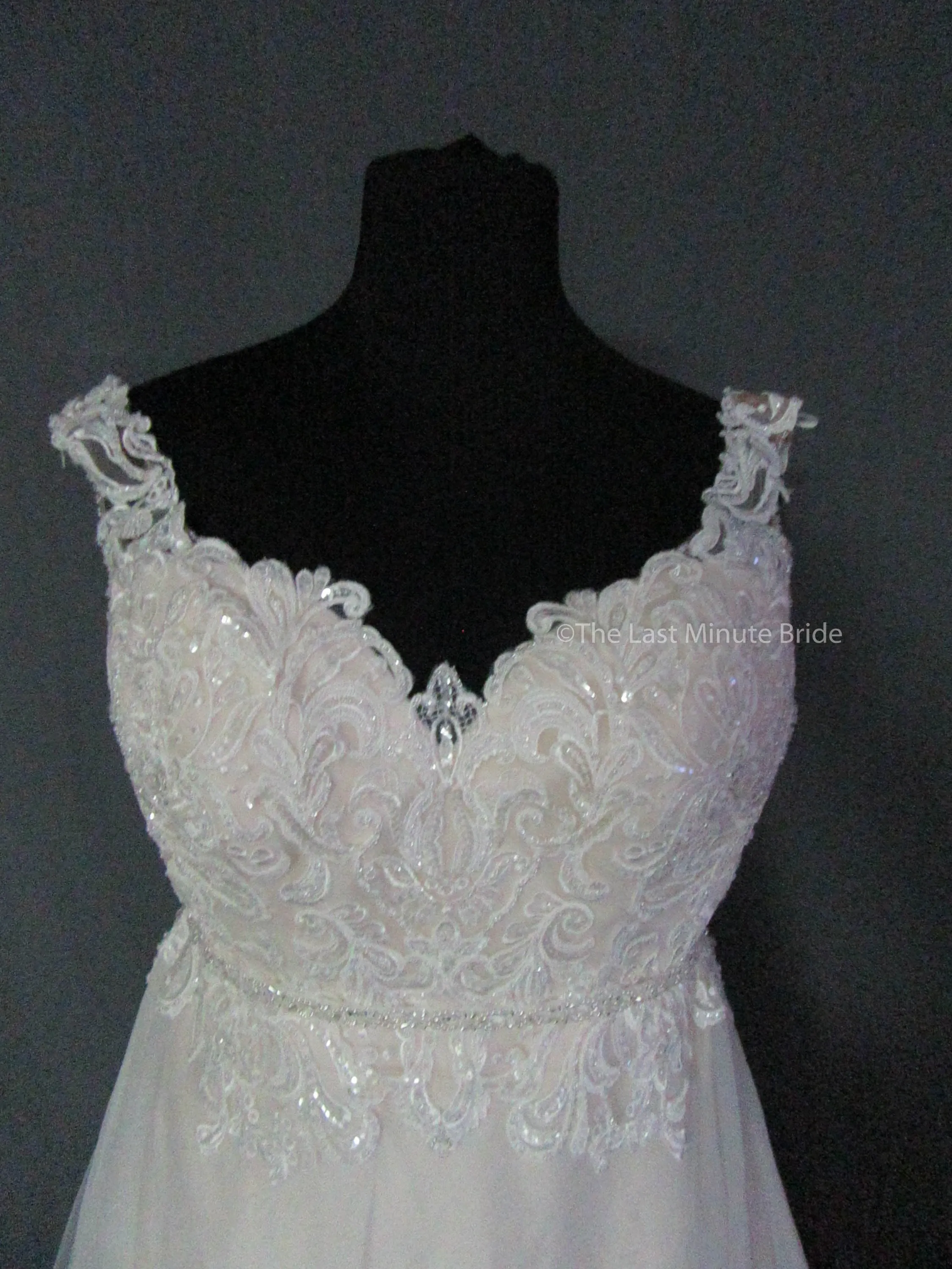 The Last Minute Bride Caroline (In stock sizes)