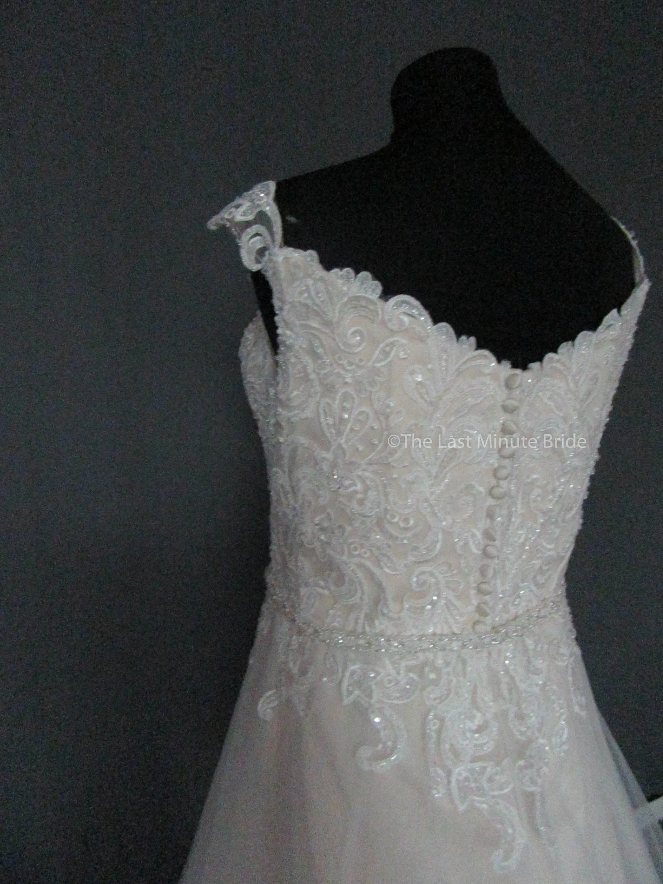 The Last Minute Bride Caroline (In stock sizes)