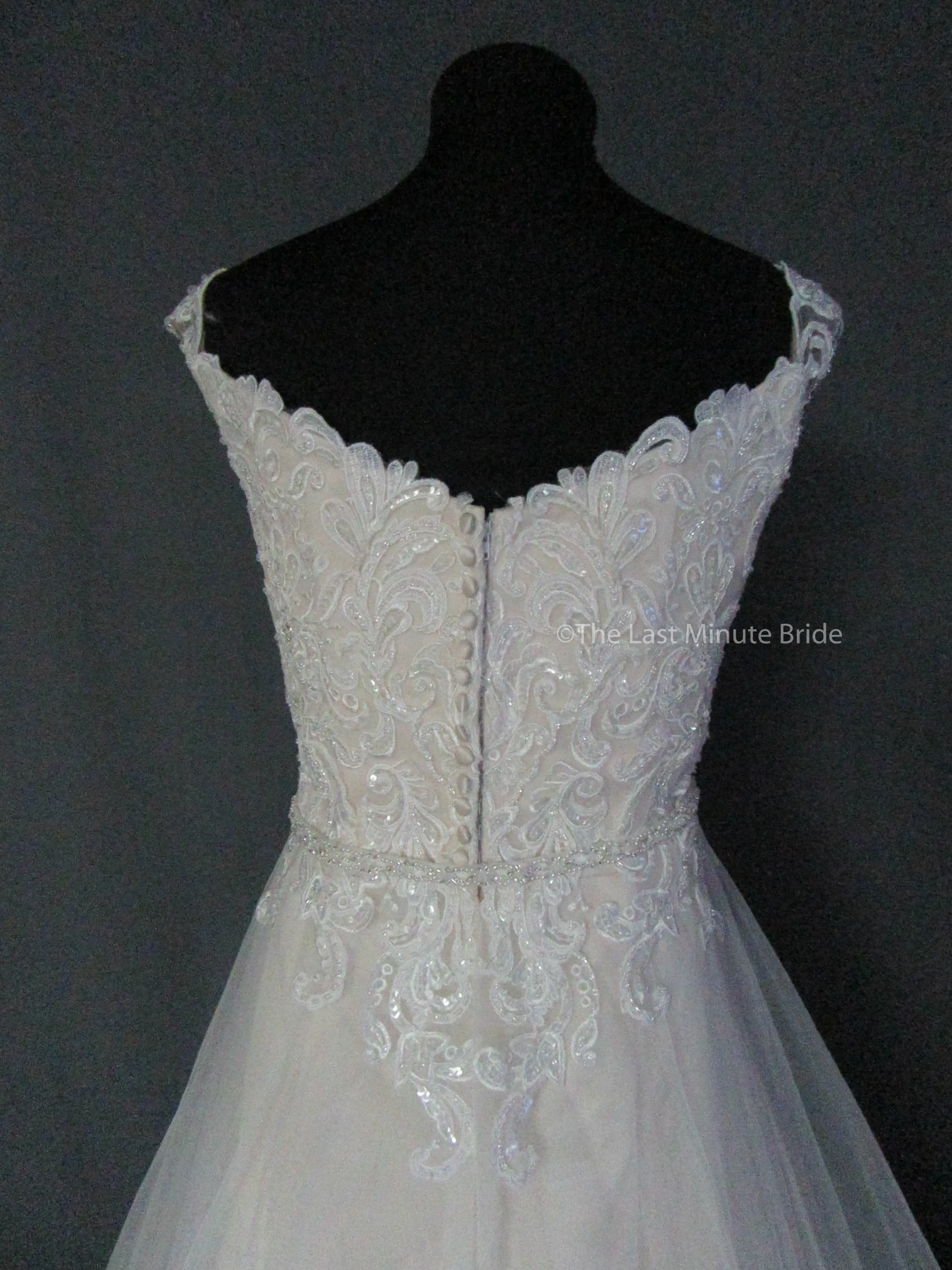 The Last Minute Bride Caroline (In stock sizes)