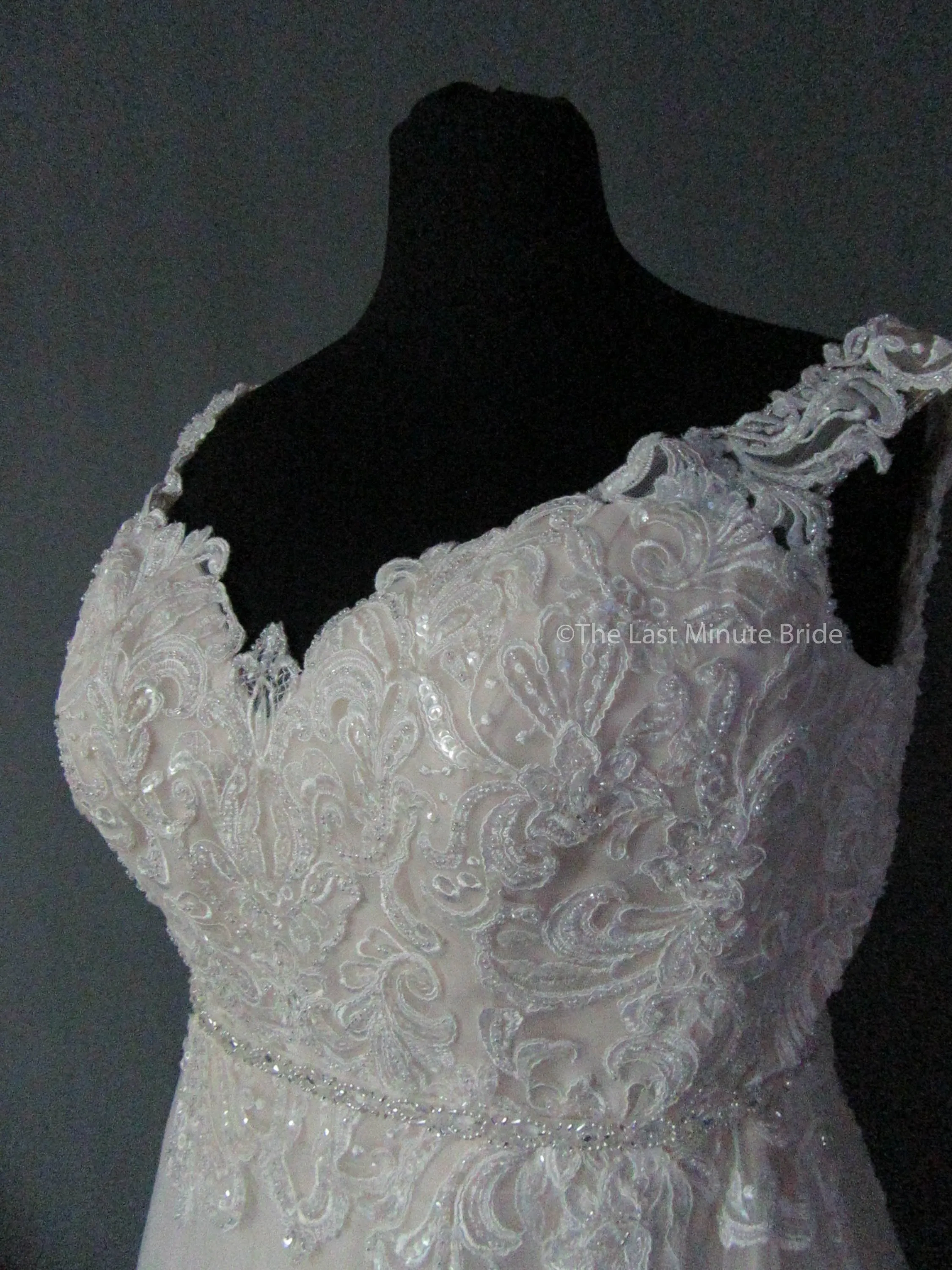 The Last Minute Bride Caroline (In stock sizes)